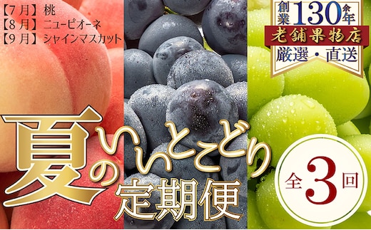 【全3回】夏のいいとこどり定期便（7・8・9月発送） 