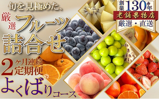 【2ヶ月連続定期便】旬を見極めた、厳選フルーツ詰合せ-よくばりセット- 