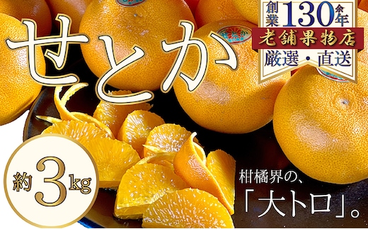 柑橘界の大トロ♪せとか 約3kg 