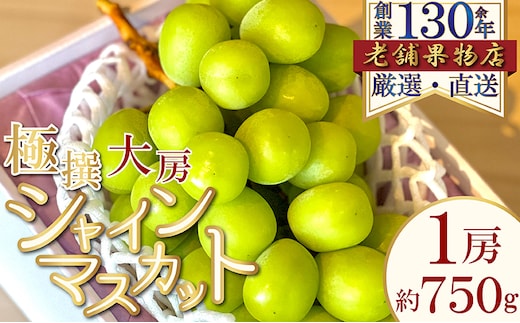 極撰！大房シャインマスカット 1房(約750g) 