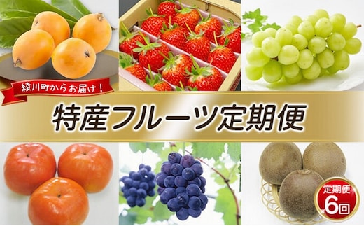 特産 フルーツ 定期便（年6回） いちご びわ ピオーネ シャインマスカット 柿 キウイ ぶどう 香川 6 季節 旬