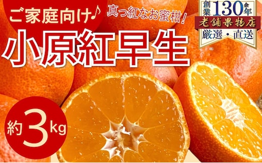 ご家庭向け！真っ赤なお蜜柑「小原紅早生」 約3kg
