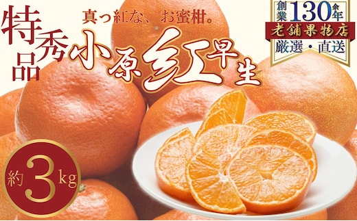 特秀品！真っ赤なお蜜柑「小原紅早生」 約3kg