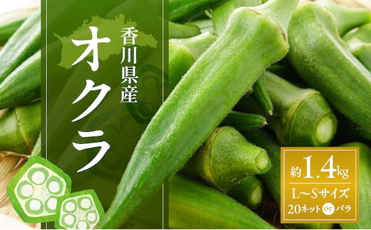 オクラ 約1.4kg (L～Sサイズ) 20ネットまたはバラ詰め 野菜