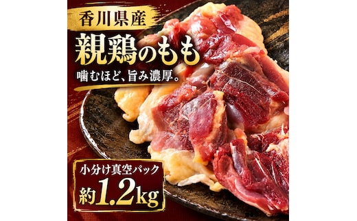 香川県産 親鶏のもも 小分け真空パック 約1.2kg 肉 お肉 鶏肉 親鳥 親鶏 香川 香川県