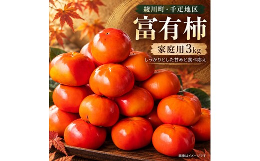 富有柿 家庭用 3kg