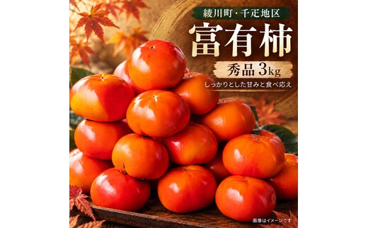 富有柿 秀品 3kg