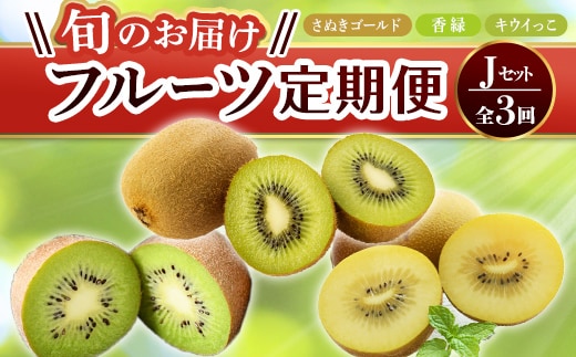 【フルーツ定期便 3回】 《さぬきゴールドからスタート》 Jセット さぬきゴールド 約2.7kg 香緑 約3.0kg キウイっこ 約1.8kg キウイ キウイフルーツ 旬 果物 国産 香川県 フルーツ定期便 F5J-802