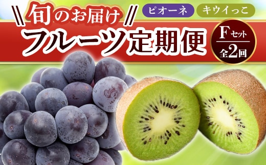 【フルーツ定期便 2回】 《ピオーネからスタート》 Fセット ピオーネ 約1.2kg キウイっこ 約1.8kg ぶどう キウイ キウイフルーツ 旬 果物 国産 香川県 フルーツ定期便 F5J-784