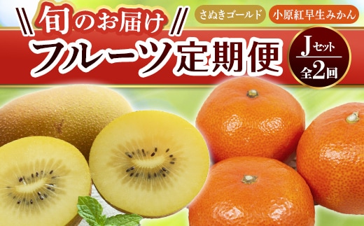 【フルーツ定期便 2回】 《さぬきゴールドからスタート》 Jセット さぬきゴールド 約2.7kg 小原紅早生みかん 約4.5kg キウイ キウイフルーツ みかん 柑橘 旬 果物 国産 香川県 フルーツ定期便 F5J-788