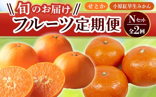 【フルーツ定期便 2回】 《小原紅早生みかんからスタート》 Nセット 小原紅早生みかん 約4.5kg せとか 約5kg みかん 柑橘 旬 果物 国産 香川県 フルーツ定期便 F5J-792