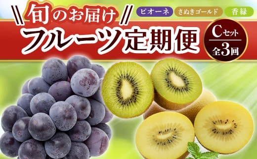 【フルーツ定期便 3回】 《ピオーネからスタート》 Cセット ピオーネ 約1.2kg さぬきゴールド 約2.7kg 香緑 約3kg ぶどう キウイ キウイフルーツ 旬 果物 国産 香川県 フルーツ定期便 F5J-795