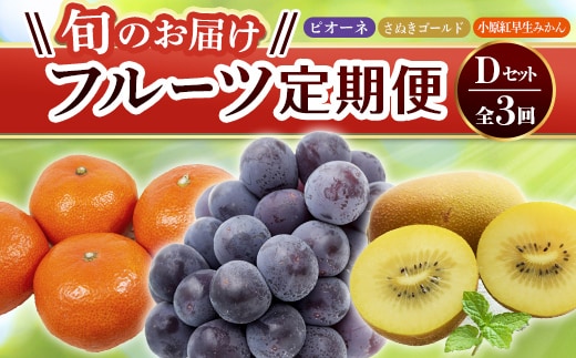 【フルーツ定期便 3回】 《ピオーネからスタート》 Dセット ピオーネ 約1.2kg さぬきゴールド 約2.7kg 小原紅早生みかん 約4.5kg ぶどう キウイ キウイフルーツ みかん 柑橘 旬 果物 国産 香川県 フルーツ定期便 F5J-796