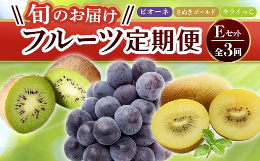 【フルーツ定期便 3回】 《ピオーネからスタート》 Eセット ピオーネ 約1.2kg さぬきゴールド 約2.7kg キウイっこ 約1.8kg ぶどう キウイ キウイフルーツ 旬 果物 国産 香川県 フルーツ定期便 F5J-797