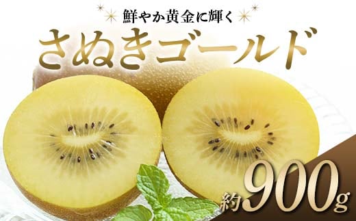 【先行予約】《2025年10月～2026年1月頃お届け》 さぬきゴールド 鮮やか黄金に輝く ゴールドキウイ 約900g 香川県産 大粒キウイ キウイフルーツ ゴールデンキウイ フルーツ 果物 くだもの 旬のフルーツ 旬の果物 香川 香川県共通返礼品 F5J-1022