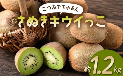 【先行予約】《2025年11月～2026年2月頃お届け》 こつぶでちゅるん さぬきキウイっこ 約1.2kg 一口サイズ 香川 四国 フルーツ 果物 くだもの キウイ キュウイ 果実 フルーツ 旬 香川県 香川県共通返礼品 F5J-1023