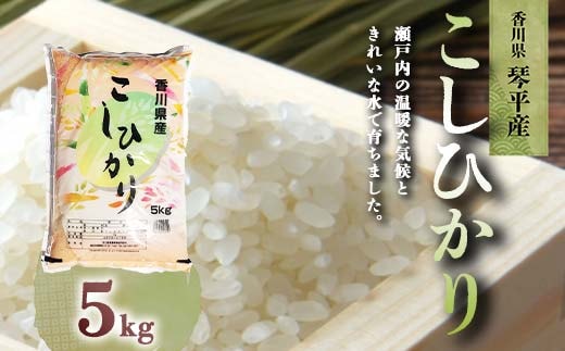 令和7年度産 新米 香川県琴平産コシヒカリ 5kg 《入金後2週間以内に発送》 銘柄米 ブランド米 国産 こしひかり コシヒカリ 米 精米 お米 ライス ギフト 贈り物 四国 F5J-1251