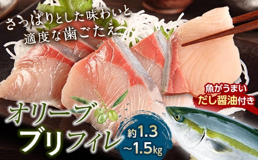 超新鮮・オリーブブリフィレ約1.3～1.5kg 魚がうまいだし醤油付き （10月下旬～12月中旬頃発送） ぶり 鰤 おかず おつまみ 肴 ご当地 食品 名産 四国 【沖縄配送不可】 F5J-1191