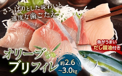超新鮮・オリーブブリフィレ約2.6～3.0kg 魚がうまいだし醤油付き （10月下旬～12月中旬頃発送） ぶり 鰤 おかず おつまみ 肴 ご当地 食品 名産 四国 【沖縄配送不可】 F5J-1192