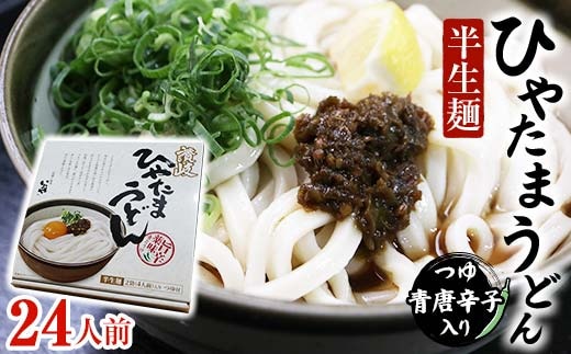 【セット】半生うどん (つゆ・青唐辛子入り) 6箱 うどん 麺 麺類 加工品 食品 F5J-176