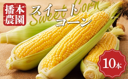 【先行予約2026年6月25日～2026年7月20日頃お届け】播本農園のスイートコーン 10本 とうもろこし トウモロコシ コーン スイートコーン 甘い 野菜 食品 四国 F5J-191