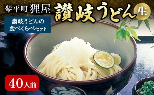 讃岐うどんの食べくらべセット40人前 本場 さぬきうどん 生 うどん 麺 手打ち 生麺 食べ比べ 釜玉うどん ぶっかけうどん 釜揚げ うどんつゆ つゆ  かけつゆ めんつゆ 生しょうゆ 醤油 食品 名産品 四国 F5J-199 dショッピングふるさと納税百選