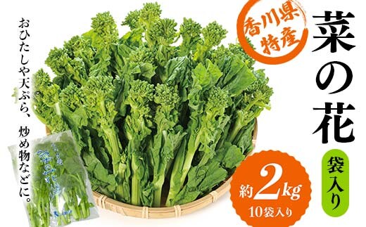 【先行予約2025年12月～2026年3月頃お届け】 菜の花 約2kg (10袋入り) なの花 菜の花 おひたし 天ぷら 炒め物 春 野菜 食品 名産 四国 F5J-925
