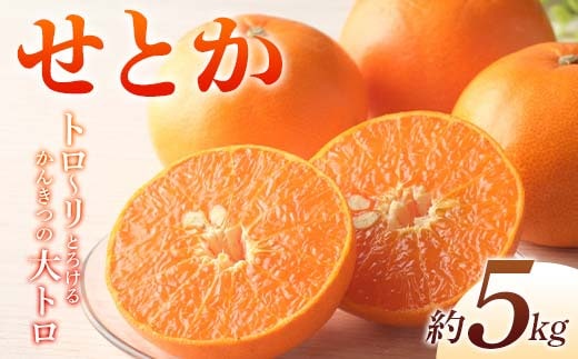 【先行予約】《2026年2月上旬～3月中旬頃お届け》 みかん せとか 約5kg トロ～リとろけるかんきつの大トロ 柑橘 完熟 みかん ミカン 果物 フルーツ くだもの 国産 せとか フルーツ 旬 果物 香川県三豊市共通返礼品 F5J-538
