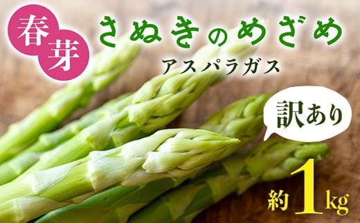 【先行予約2026年2月中旬～2026年6月下旬頃お届け】【訳あり】春芽 さぬきのめざめアスパラガス 約1kg F5J-767