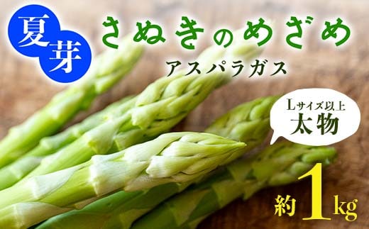 【先行予約2026年6月～10月頃お届け】夏芽 太物(Lサイズ以上) さぬきのめざめアスパラガス 約1kg F5J-769