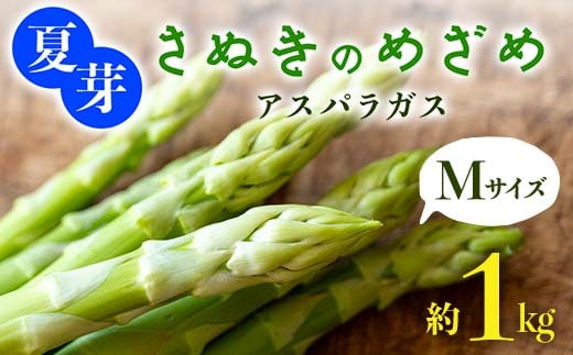 【先行予約2026年6月～10月頃お届け】夏芽 さぬきのめざめ アスパラガス Mサイズ 約1kg F5J-770