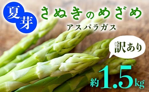 【先行予約2026年6月～10月頃お届け】【訳あり】夏芽 さぬきのめざめアスパラガス 約1.5kg F5J-772