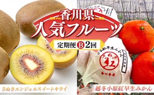 【人気フルーツ定期便B 2回】 《さぬきエンジェルスイートからスタート》 さぬきエンジェルＳキウイ 約1kg 越冬小原紅早生 約1kg キウイ キウイフルーツ みかん 柑橘 旬 果物 国産 香川県 フルーツ定期便 F5J-928