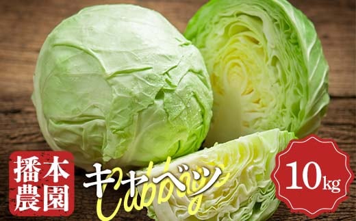 【先行予約2025年11月～2026年6月頃お届け】播本農園のキャベツ 10kg キャベツ 甘い 野菜 サラダ 食品 四国 F5J-900