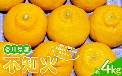 【先行予約2026年2月～3月頃お届け】 不知火(約4kg) しらぬい 柑橘 果物 香川 みかん F5J-954