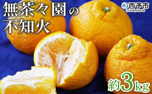 ＜無茶々園の不知火 約3kg＞ フルーツ 果物 くだもの デコポン しらぬい しらぬひ 柑橘 みかん ミカン 蜜柑 オレンジ 柑橘 甘い 旬 期間限定 季節限定 特産品 愛媛県 西予市【常温】