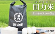 令和６年産　田力米（ミルキースター）５kg