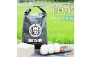 令和7年産 田力米（コシヒカリ）10kg