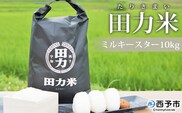 令和６年産　田力米（ミルキースター）10kg