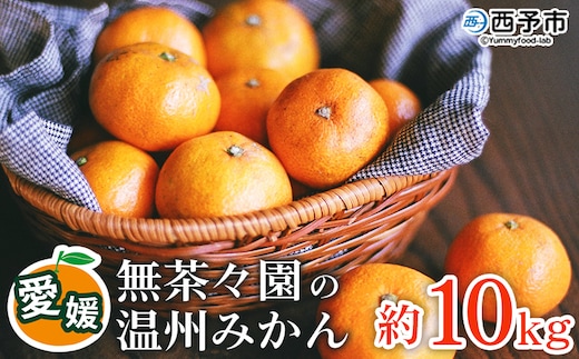 【先行予約】＜無茶々園 温州みかん 約10kg＞ 果物 くだもの ミカン 蜜柑 柑橘 フルーツ うんしゅうみかん 選べる内容量 贈り物 ギフト おいしい 期間限定 季節限定 食べて応援 特産品 愛媛県 西予市 【常温】
