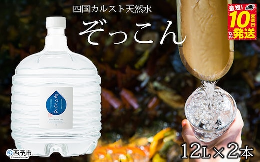 四国カルスト天然水ぞっこん（ガロンボトル12L×2本）