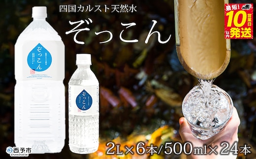 四国カルスト天然水ぞっこん（500mL×24本、2L×6本）