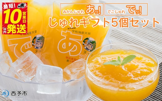 ＜じゅれギフト 5個セット＞ 飲むゼリー 果物 みかん 伊予柑 温州 柑橘 ジュレ デザート おやつ スイーツ あけはまシーサイドサンパーク 飲んで応援 贈答用 愛媛県西予市【常温】『最短10営業日以内に順次発送予定』