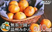 【先行予約】＜無茶々園 温州みかん 約10kg＞ 果物 くだもの ミカン 蜜柑 柑橘 フルーツ うんしゅうみかん 選べる内容量 贈り物 ギフト おいしい 期間限定 季節限定 食べて応援 特産品 愛媛県 西予市 【常温】
