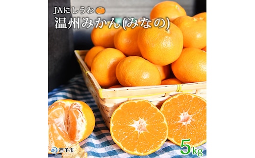 JAにしうわ 温州みかん「みなの」５kg