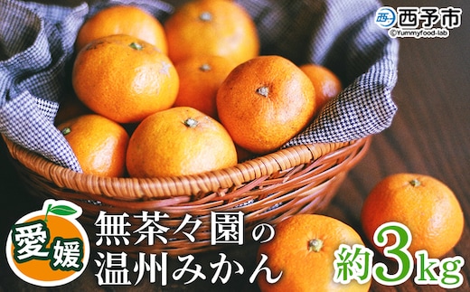 【先行予約】＜無茶々園 温州みかん 約3kg＞ 果物 くだもの ミカン 蜜柑 柑橘 フルーツ うんしゅうみかん 選べる内容量 贈り物 ギフト おいしい 期間限定 季節限定 食べて応援 特産品 愛媛県 西予市 【常温】