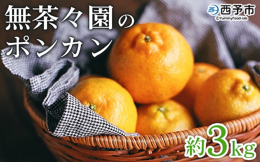＜無茶々園のポンカン 約3kg＞ 果物 くだもの フルーツ 選べる内容量 ぽんかん みかん 蜜柑 柑橘類 かんきつ 旬 甘い 濃厚 新鮮 期間限定 季節限定 産地直送 特産品 愛媛県 西予市 【常温】