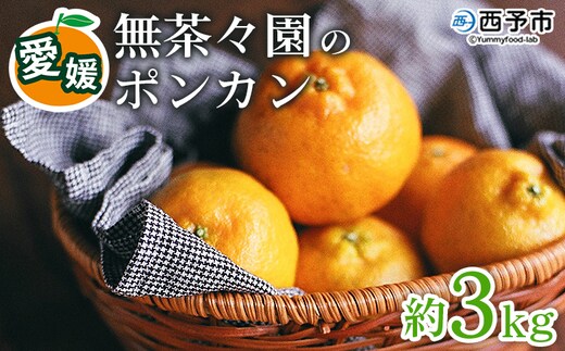 【先行予約】＜無茶々園のポンカン 約3kg＞ 果物 くだもの フルーツ ぽんかん みかん 蜜柑 柑橘類 かんきつ 旬 甘い 濃厚 新鮮 期間限定 季節限定 産地直送 特産品 愛媛県 西予市 【常温】