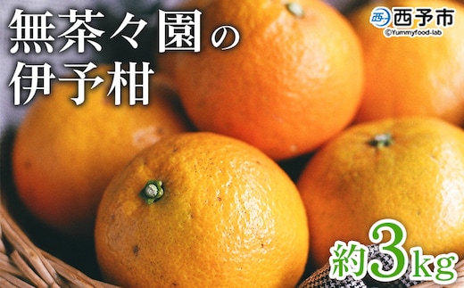 ＜無茶々園の伊予柑 約3kg＞ 果物 いよかん イヨカン みかん ミカン 蜜柑 柑橘 フルーツ 選べる内容量 期間限定 季節限定 特産品 愛媛県 西予市【常温】