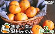 【先行予約】＜無茶々園 温州みかん 約3kg＞ 果物 くだもの ミカン 蜜柑 柑橘 フルーツ うんしゅうみかん 選べる内容量 贈り物 ギフト おいしい 期間限定 季節限定 食べて応援 特産品 愛媛県 西予市 【常温】